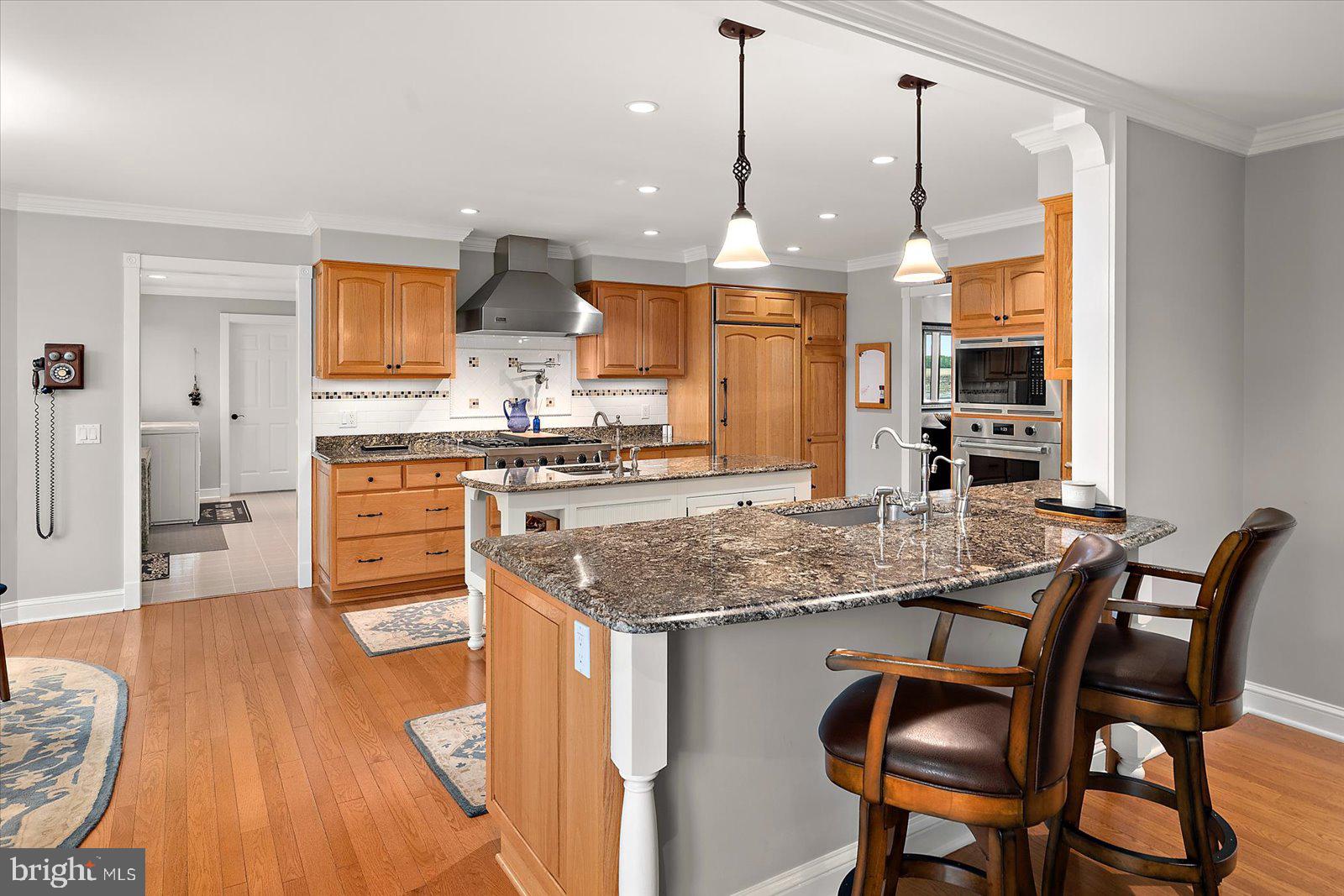 33915 Shockley Road Parsonsburg, MD 21849 - Photo 37 of 125 Inviting kitchen with elegant finishes.