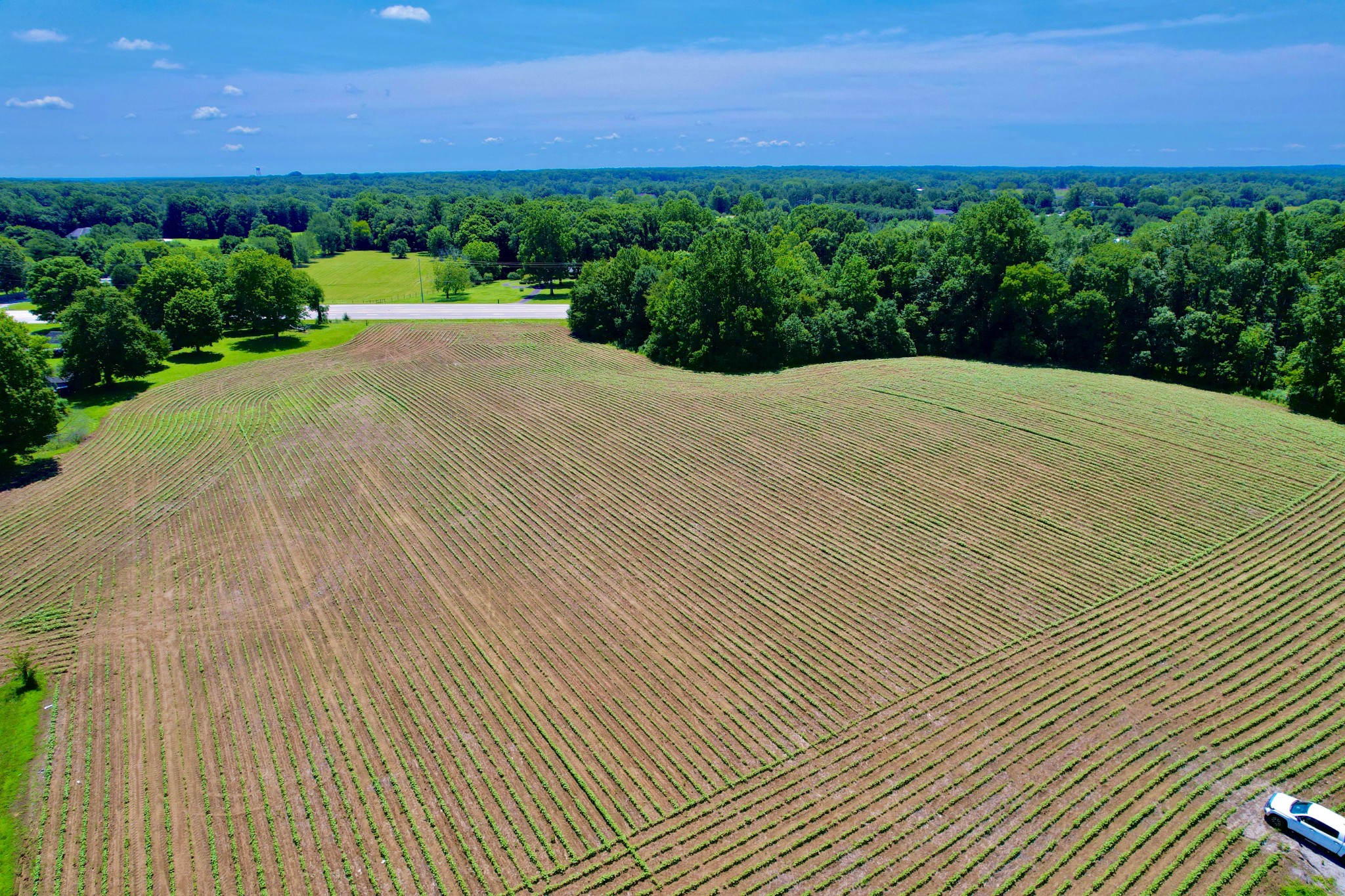 20 Lambs Ferry Road Leoma, TN 38468 - Photo 2 of 12