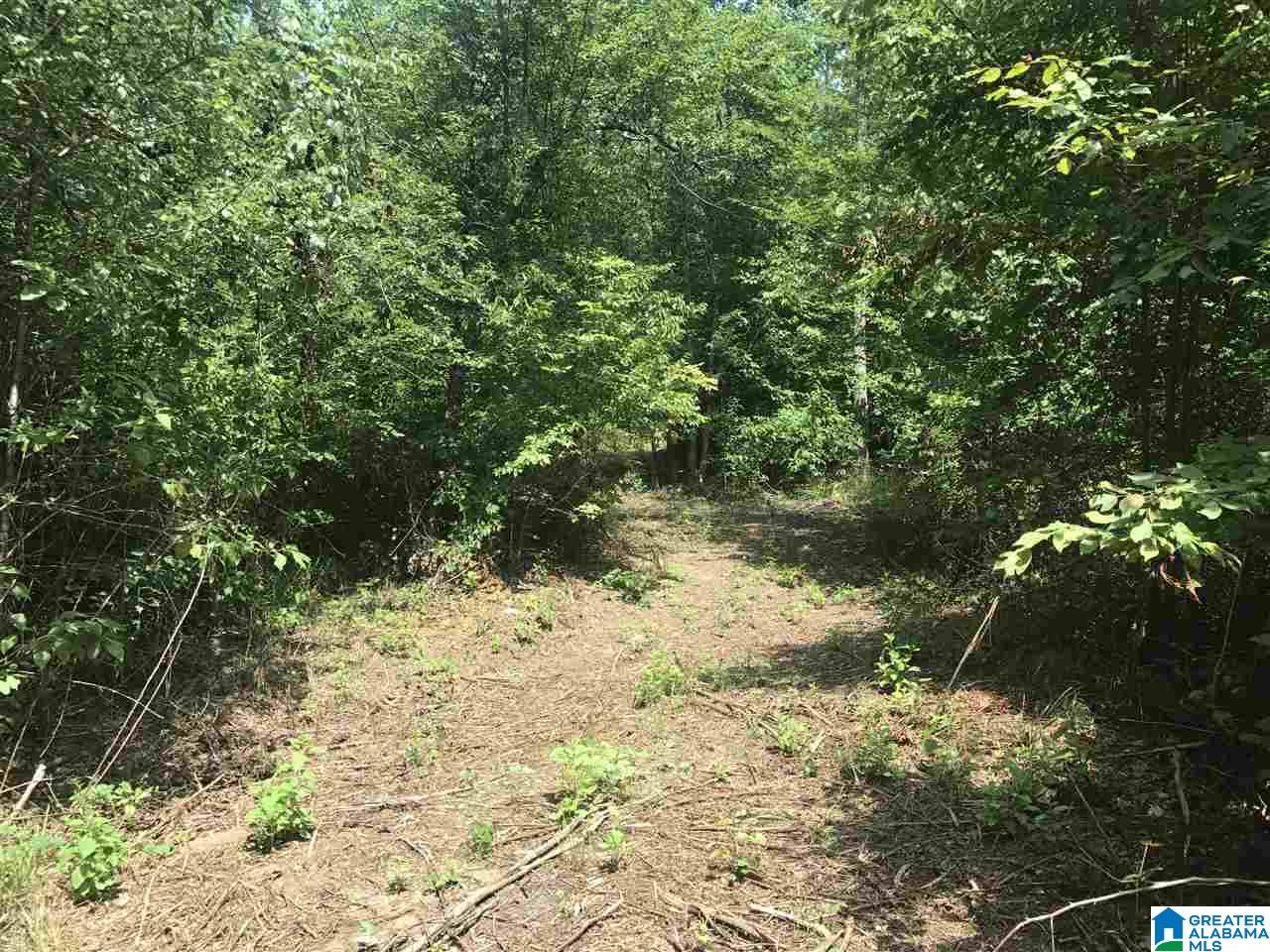 River Bend Road, Unit 2 West Blocton, AL 35184 - Photo 3 of 10