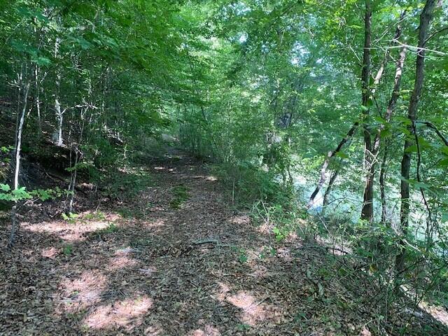 4.81 McCann Road Jasper, TN 37347 - Photo 7 of 10 8