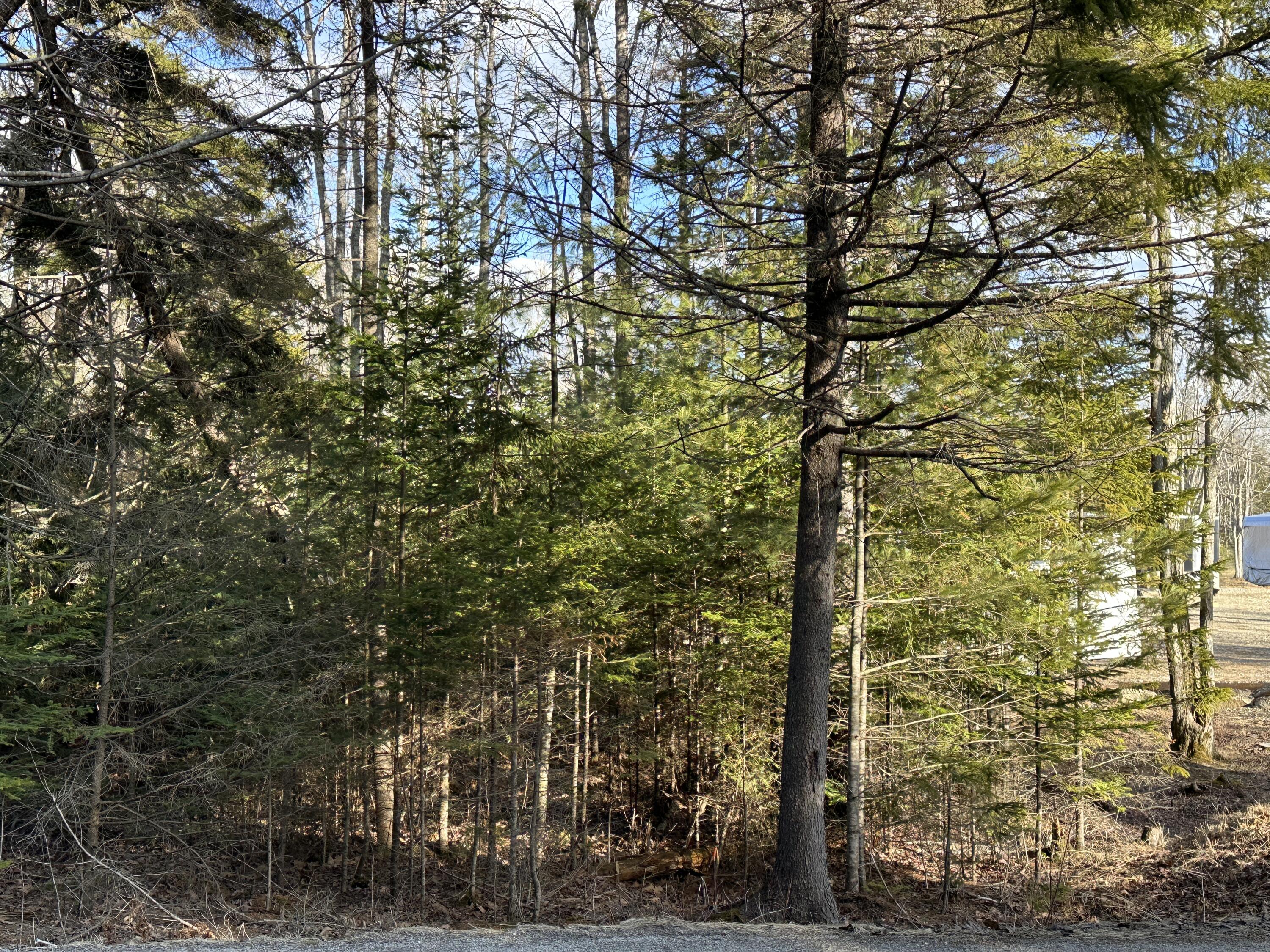 50 Cline Road St. George, ME 04859 - Photo 13 of 21 12