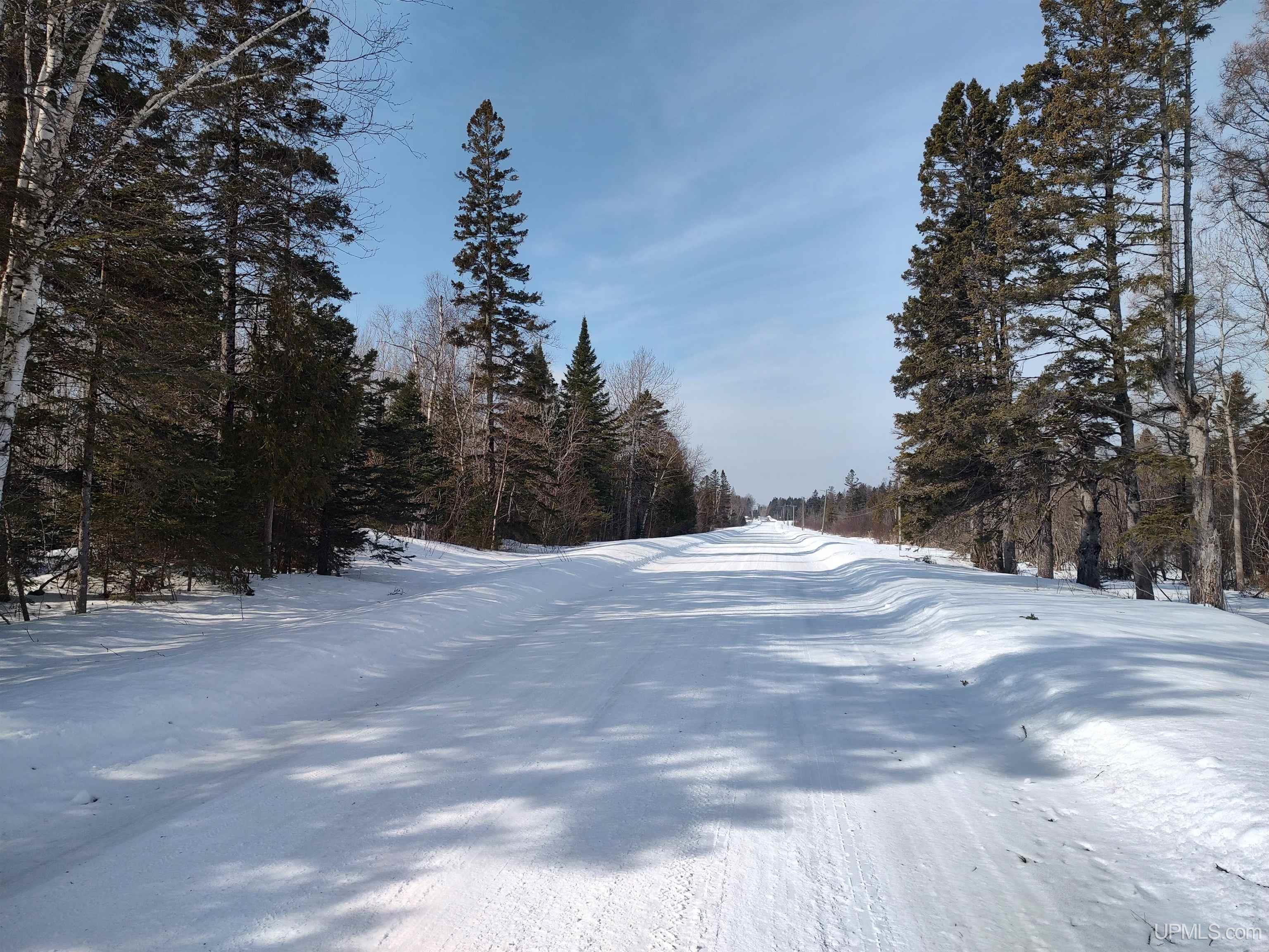 30-acres Parkington Road Gulliver, MI 49840 - Photo 29 of 31