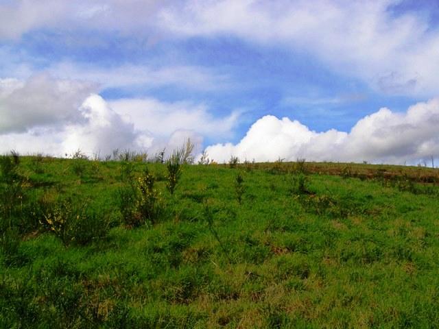 Lot 40 Skyview Road Tillamook, OR 97141 - Photo 7 of 24 P3180258.JPG