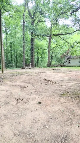 a view of a yard with large trees