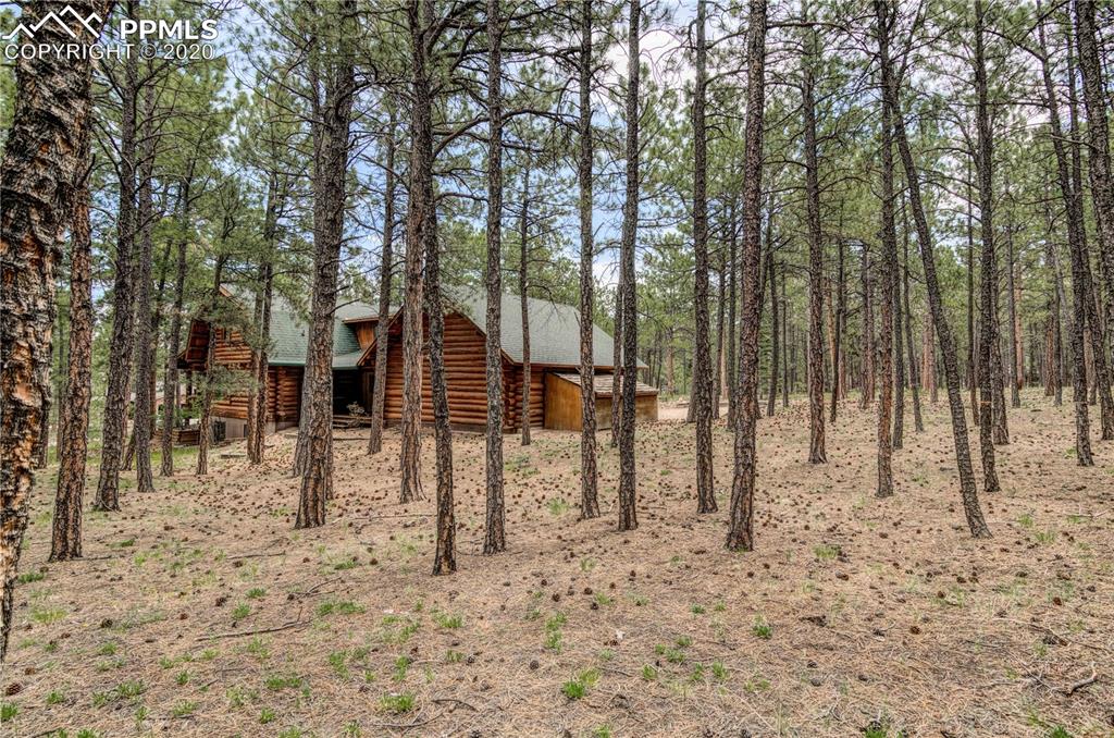 17940 Smugglers Road Monument, CO 80132 - Photo 37 of 40