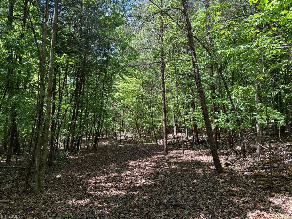 0 Broadview Road Pfafftown, NC 27040 - Photo 5 of 11