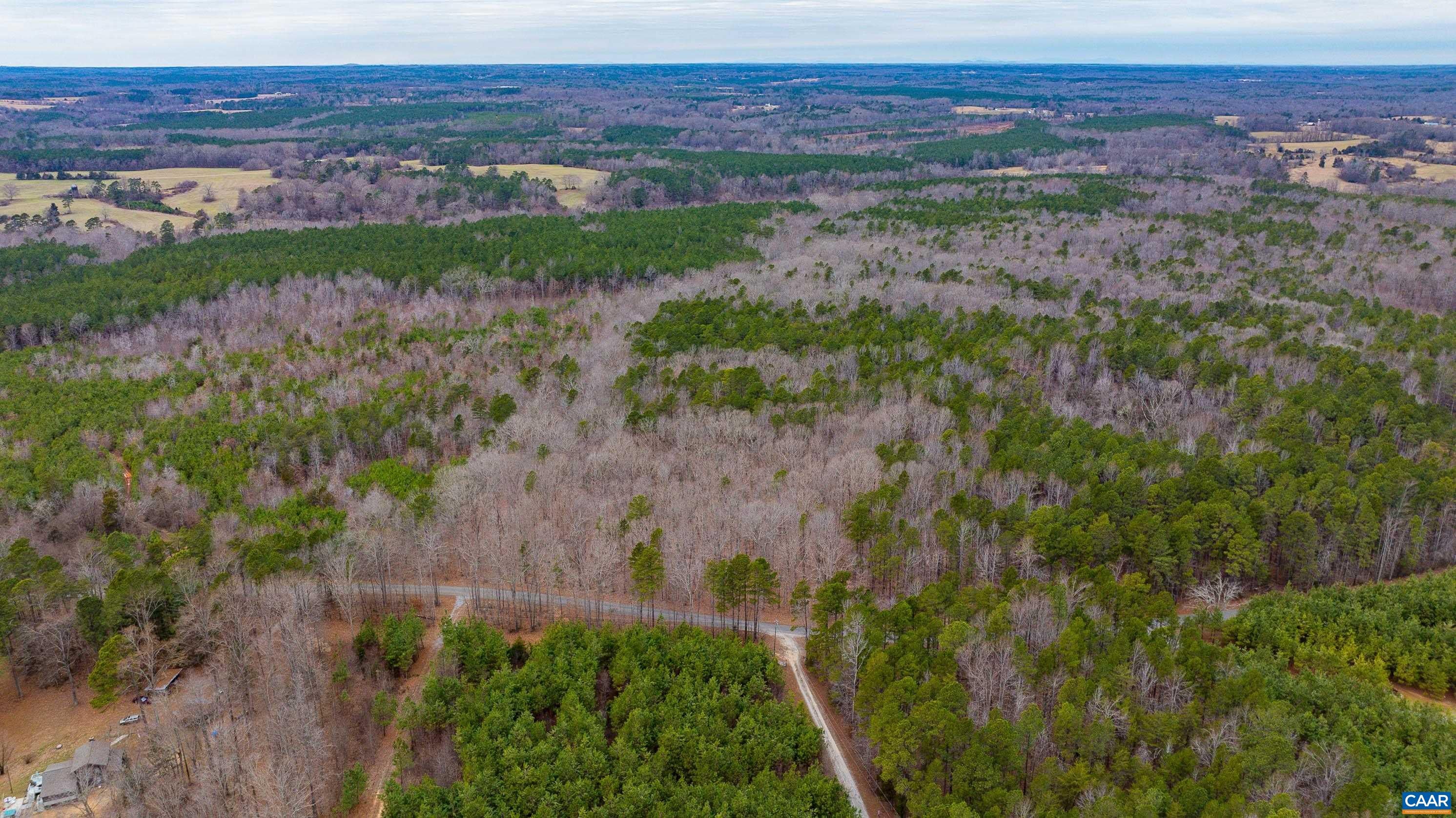 Lot 3 Piney Green Road Rice, VA 23966 - Photo 12 of 32 Gallery Image 12
