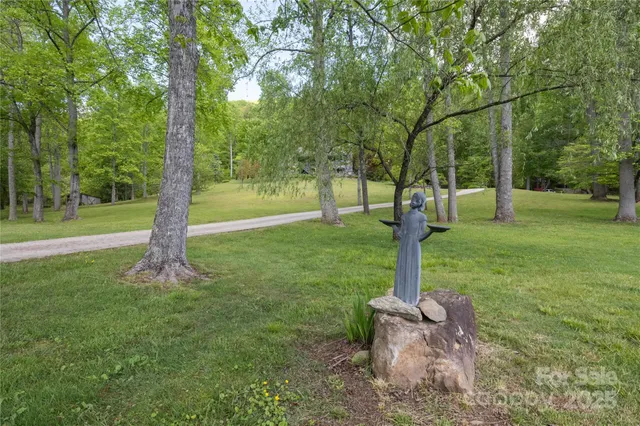 a view of a park with large trees