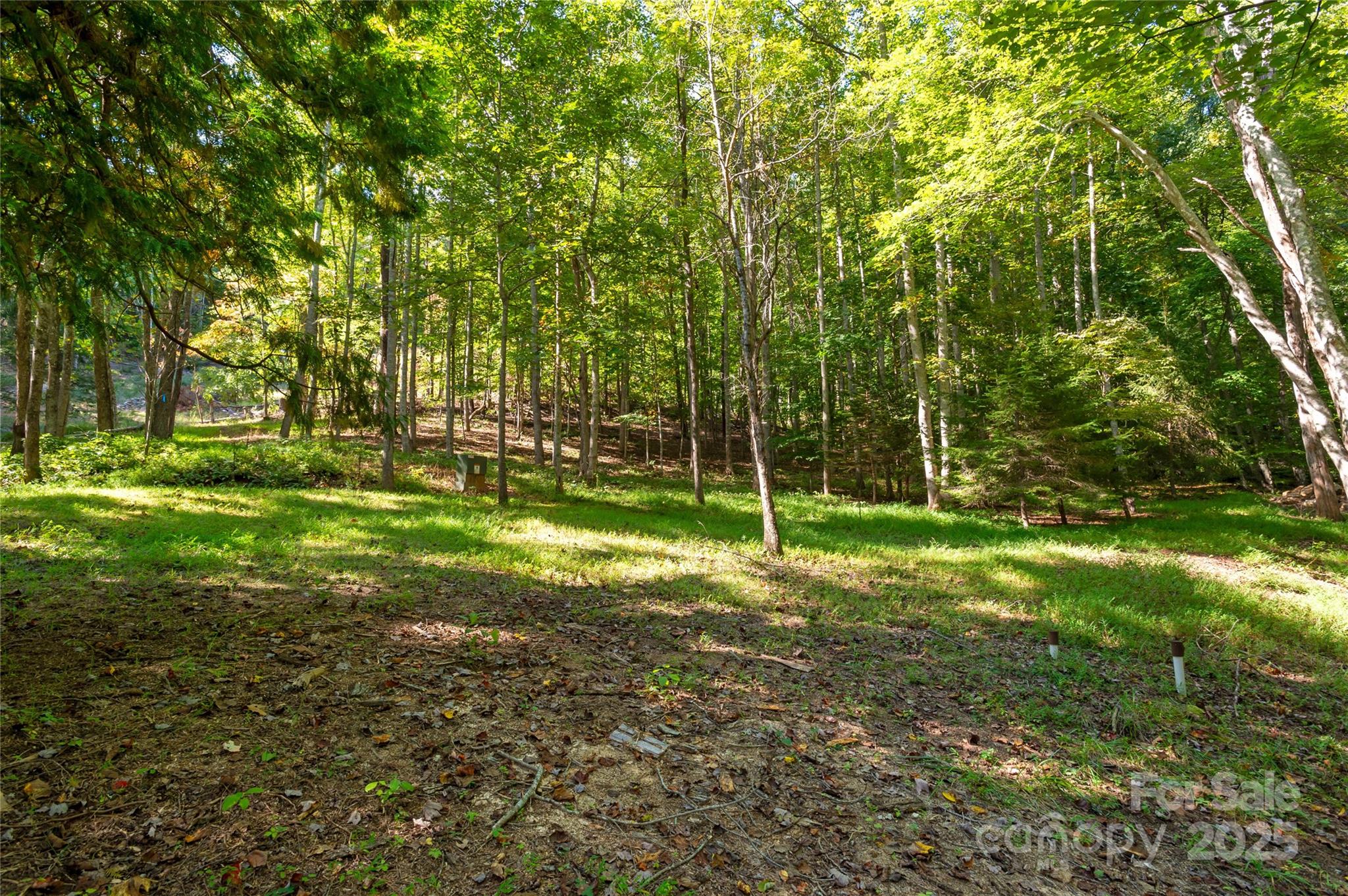 116 Sams Branch Road Candler, NC 28715 - Photo 41 of 47 a view of a ground with lots of trees