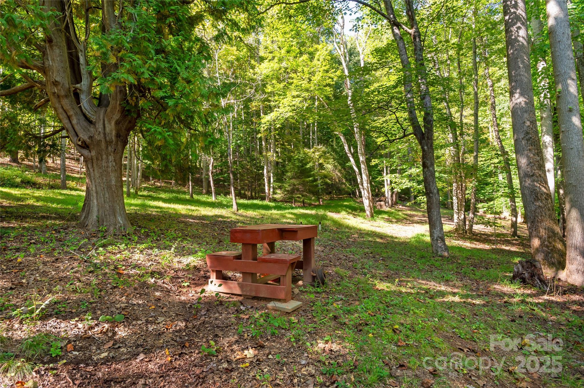 116 Sams Branch Road Candler, NC 28715 - Photo 42 of 47 a backyard of a house with table and chairs