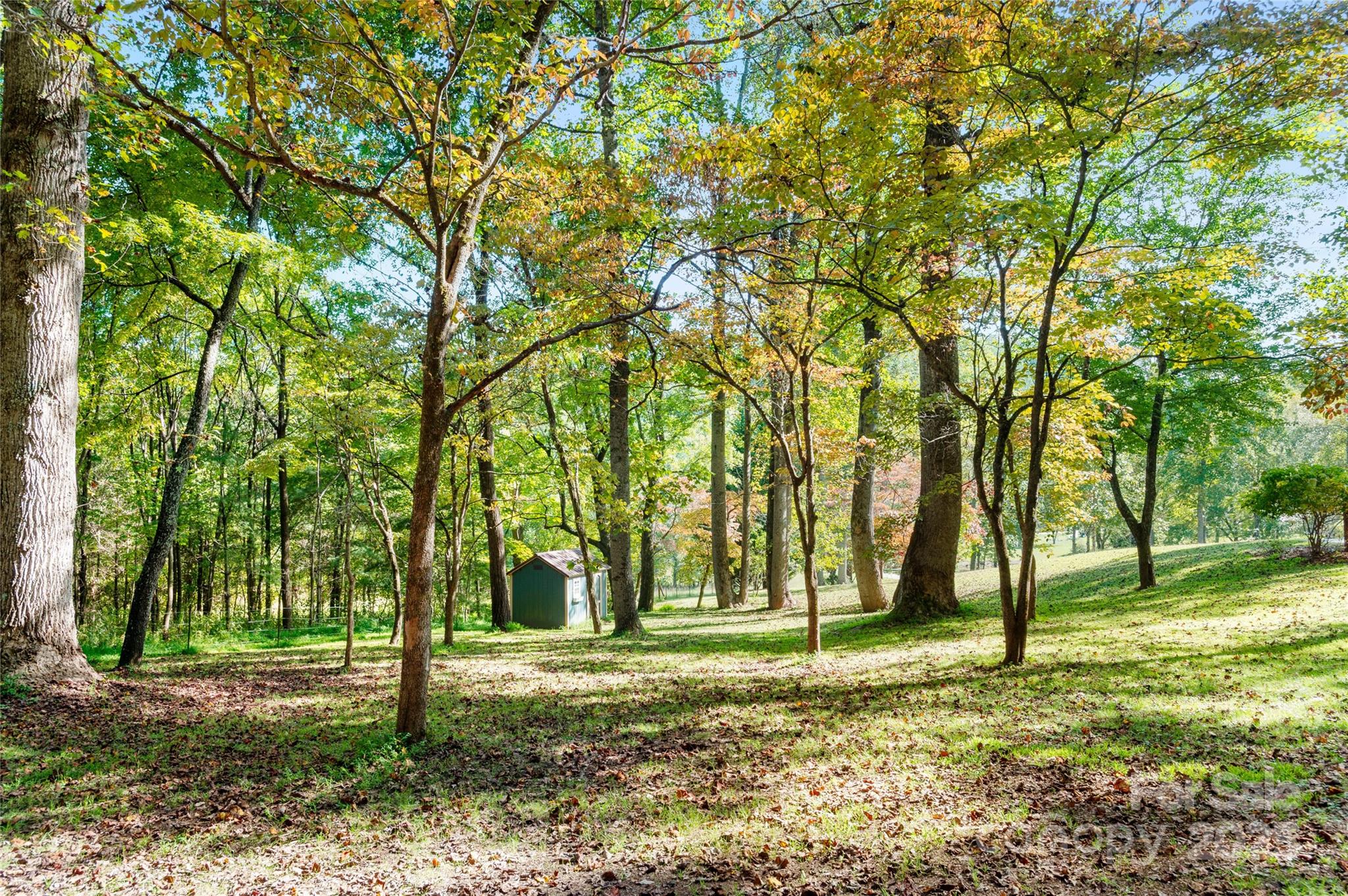 116 Sams Branch Road Candler, NC 28715 - Photo 46 of 47 a backyard of a house with lots of green space