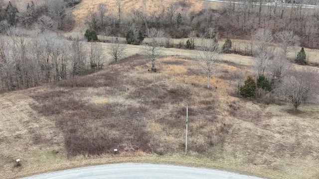 a view of a dry yard with trees and bushes