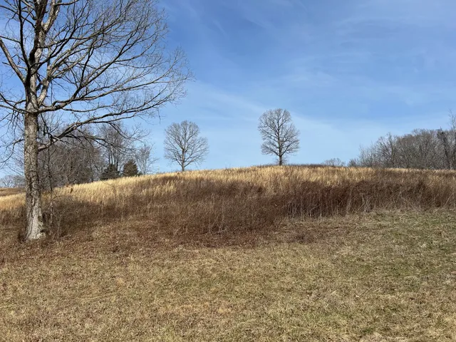 a view of a field with an ocean
