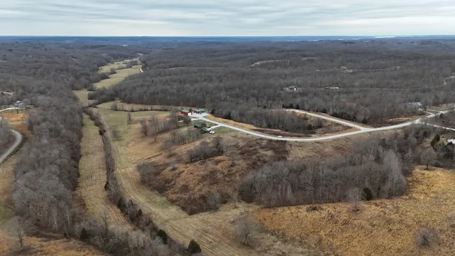 a view of a dry yard with trees