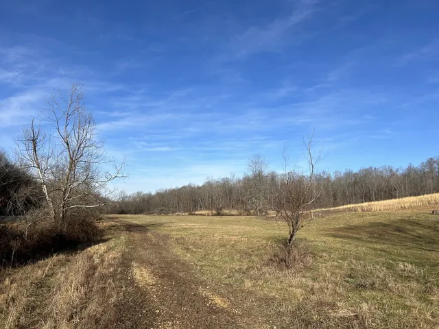 a view of a dry yard with a barn in the background