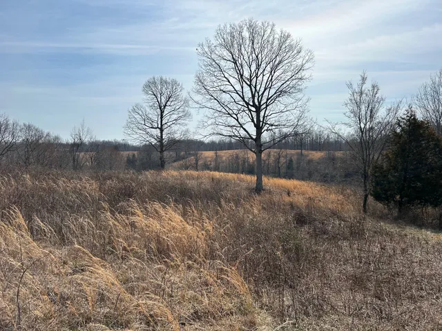 a view of a dry yard with wooden fence