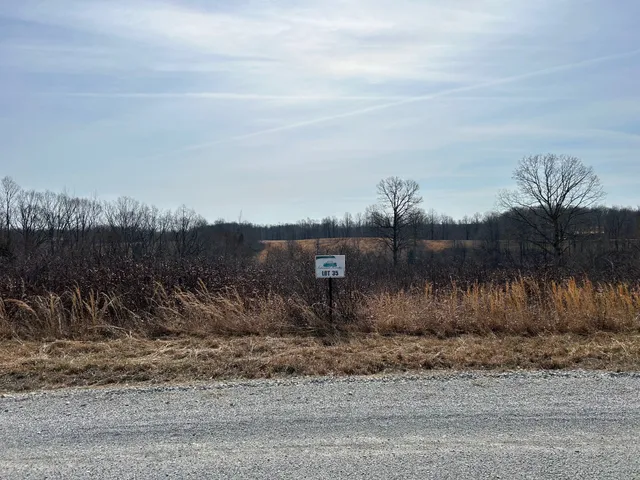 a view of a dry yard with trees