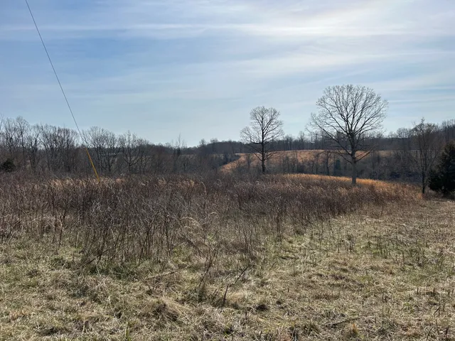 a view of a backyard of the house