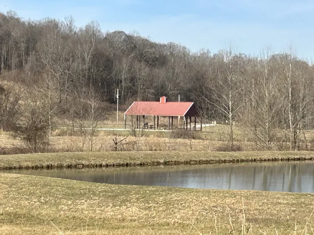 a view of a dry yard with wooden fence