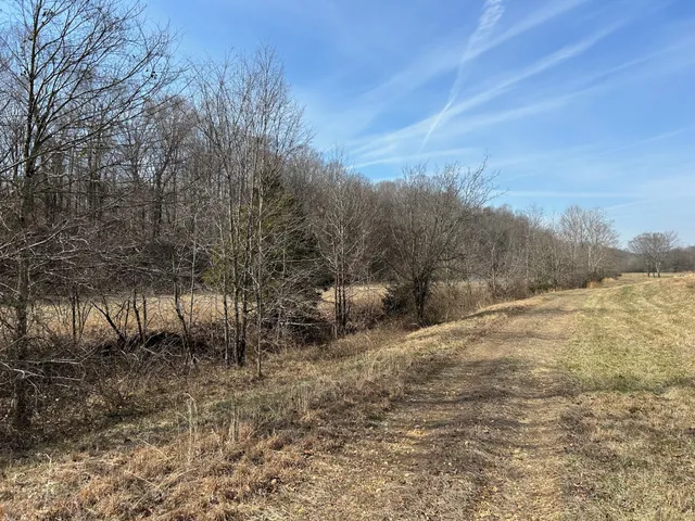 a view of a dry yard with green space