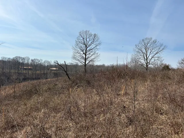 $45,000 | 0 Blackhawk Court, Waverly, TN 37185