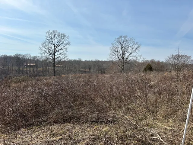 $45,000 | 0 Blackhawk Court, Waverly, TN 37185