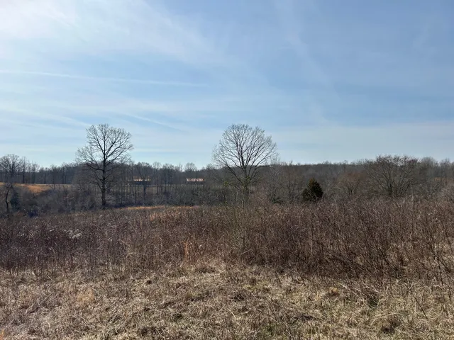 $45,000 | 0 Blackhawk Court, Waverly, TN 37185