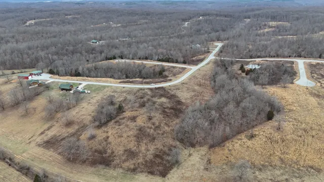 a view of a dry yard with trees