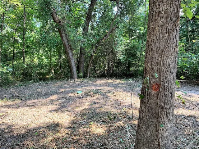 a backyard of a house with large trees