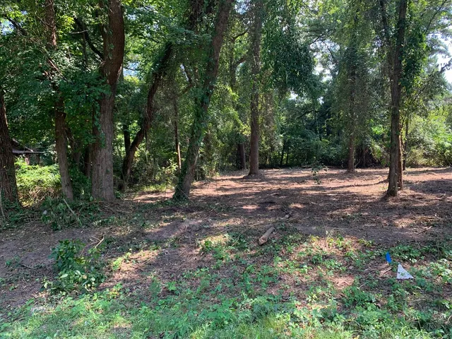a view of outdoor space with trees