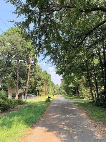 a view of road and trees