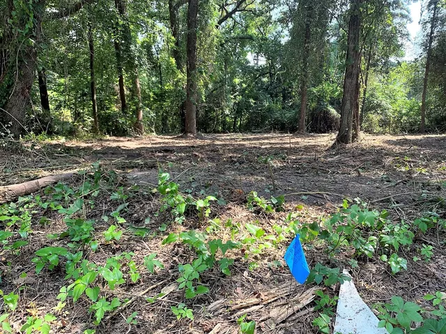 a view of outdoor space with trees all around
