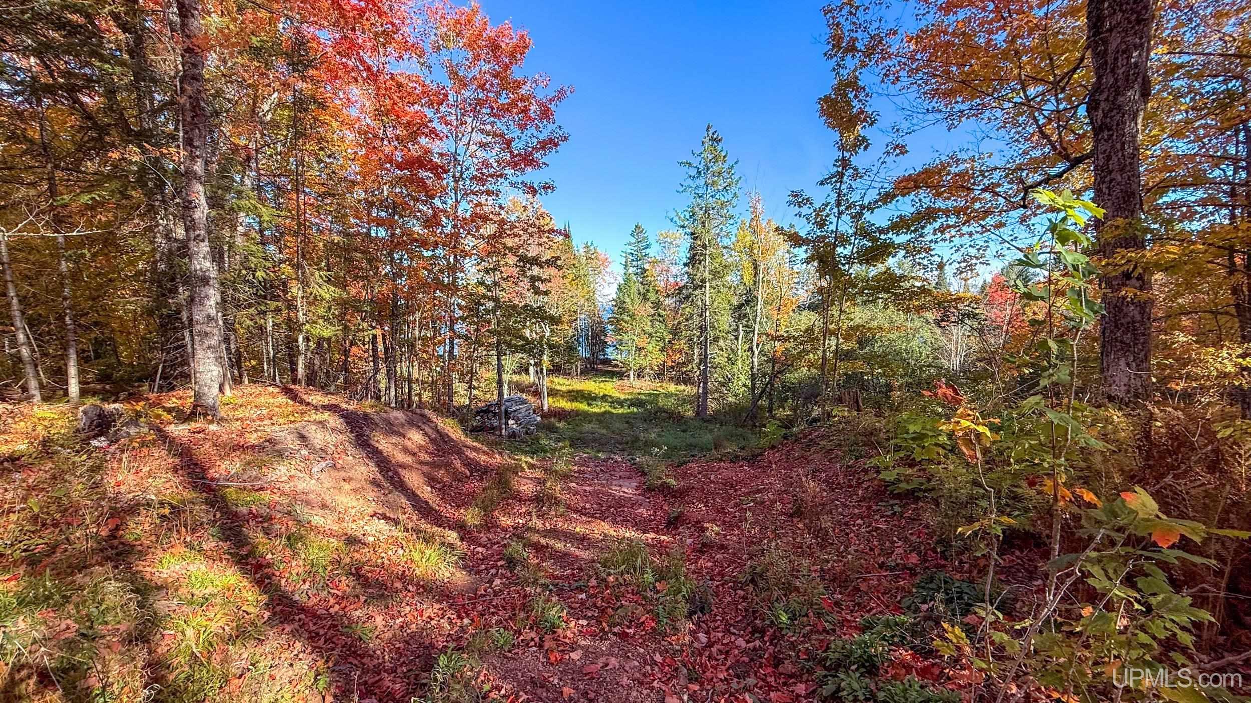 Tbd A Payne Road Pelkie, MI 49908 - Photo 28 of 46 Gallery Image 28
