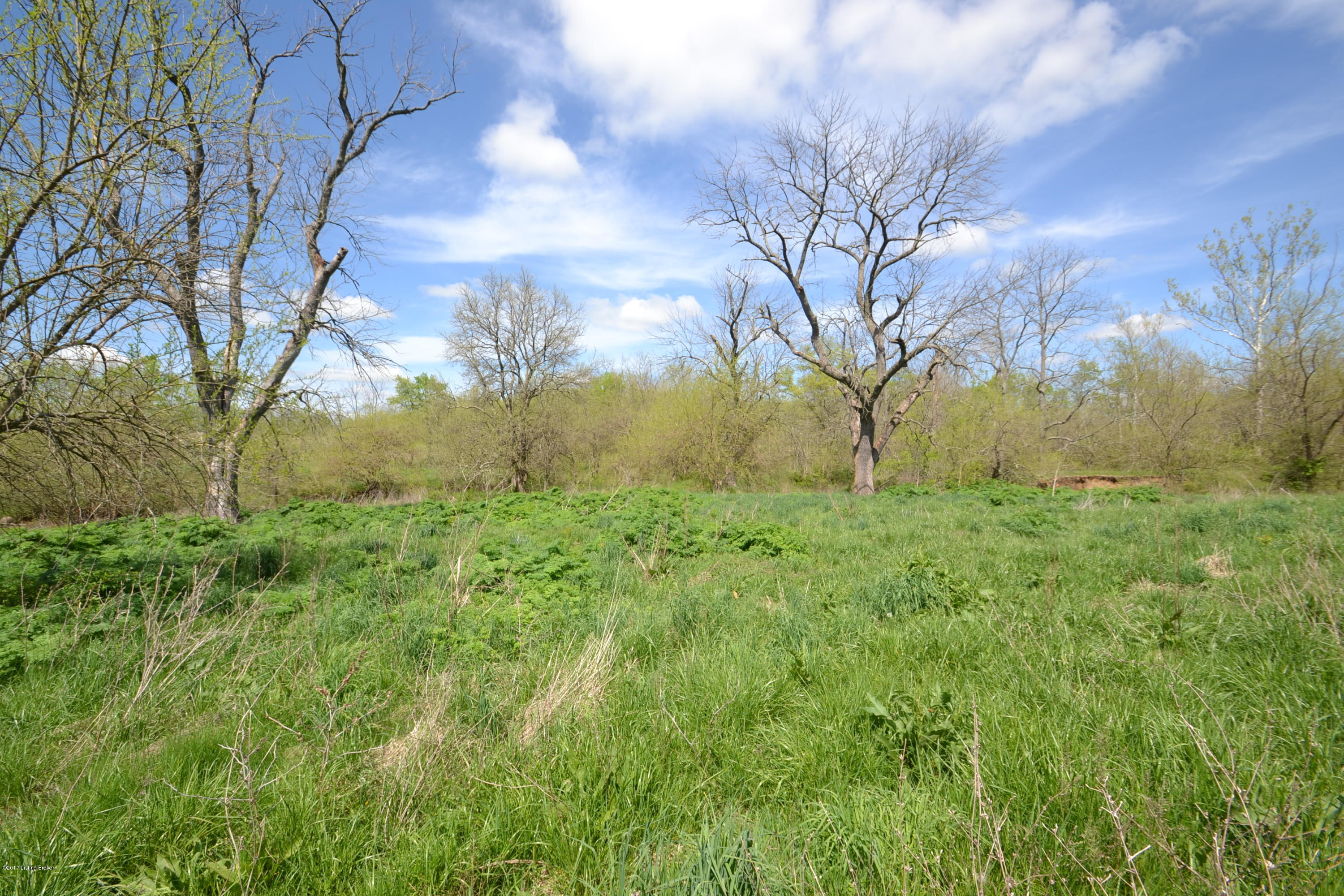 3329 Sunnyside Road Smithfield, KY 40068 - Photo 6 of 19 DSC_0603