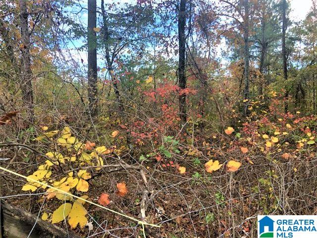 1 Perry Road, Unit 1 Vincent, AL 35178 - Photo 3 of 7