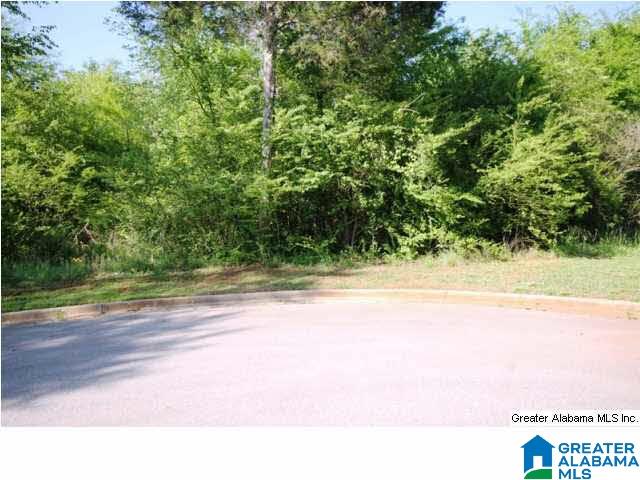 0 Almaroad Place Southwest, Unit 107 Jacksonville, AL 36265 - Photo 5 of 31