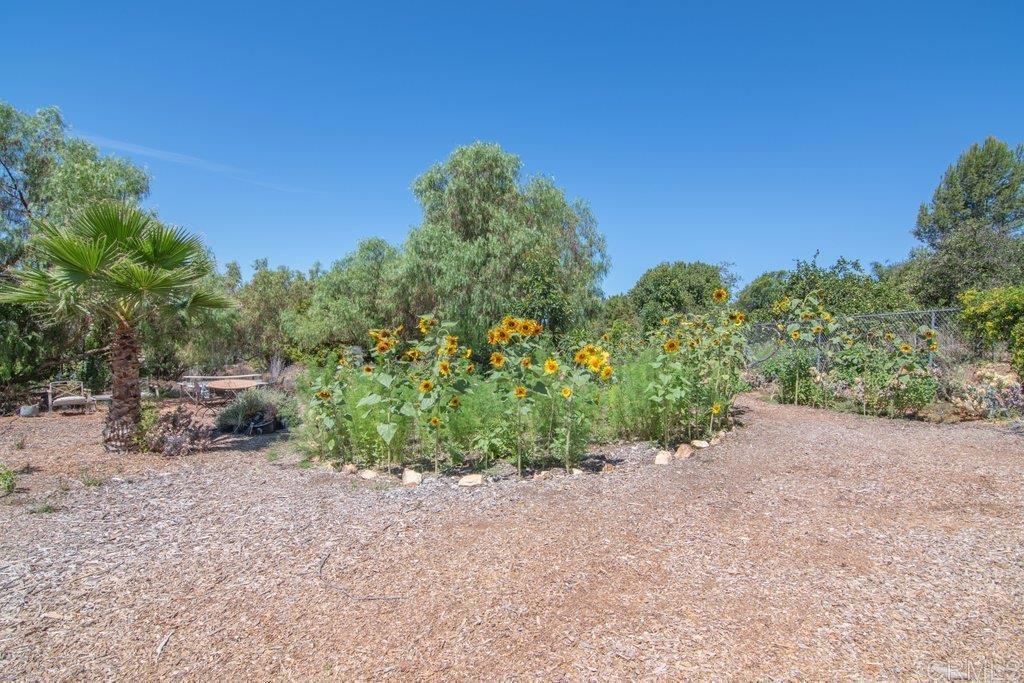 5741 Rainbow Heights Road Fallbrook, CA 92028 - Photo 49 of 57 Gallery Image 49