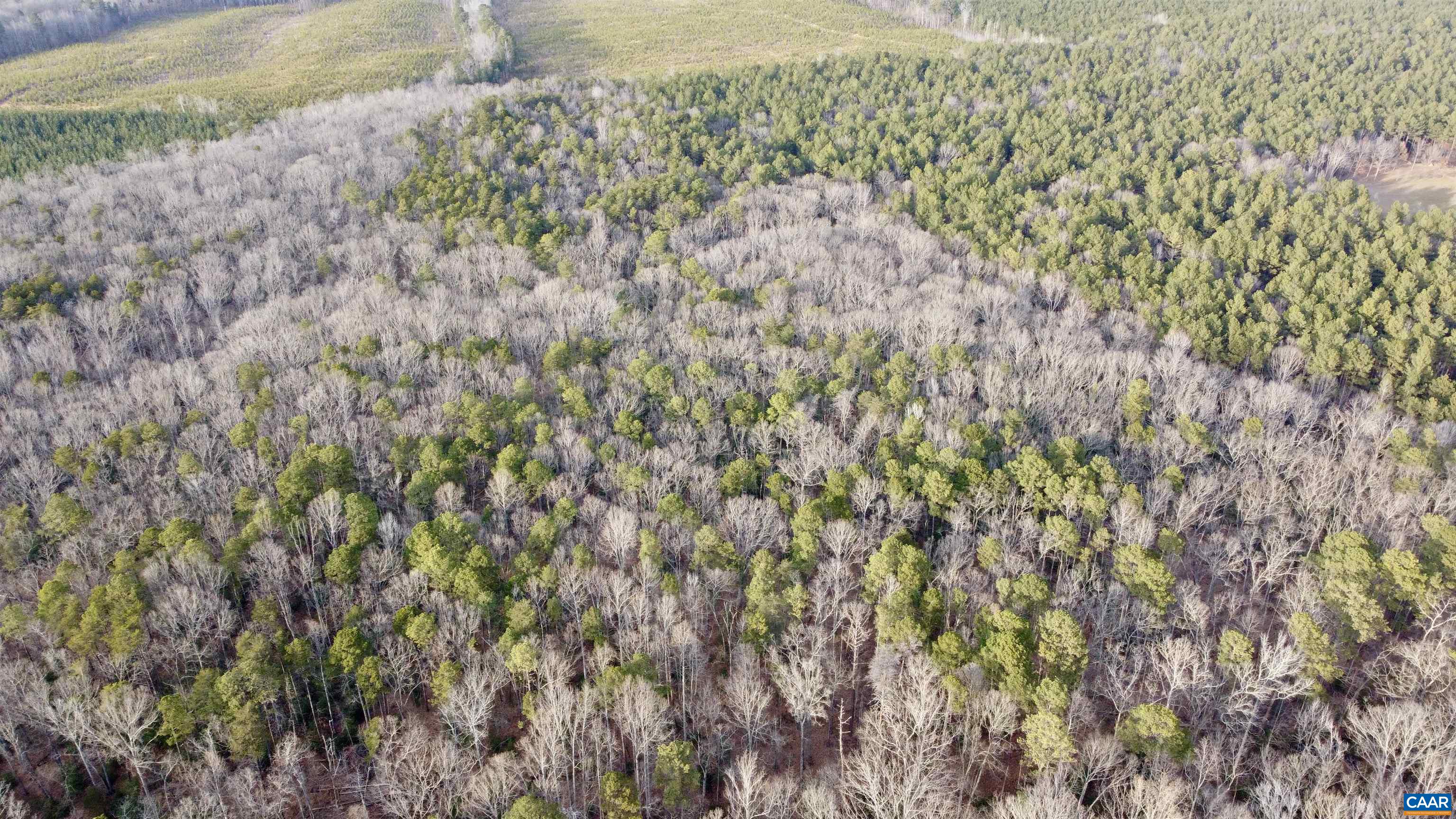 20602 Beaver Dam Road Beaverdam, VA 23015 - Photo 11 of 24 a view of a yard