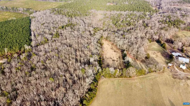 a view of a bunch of trees