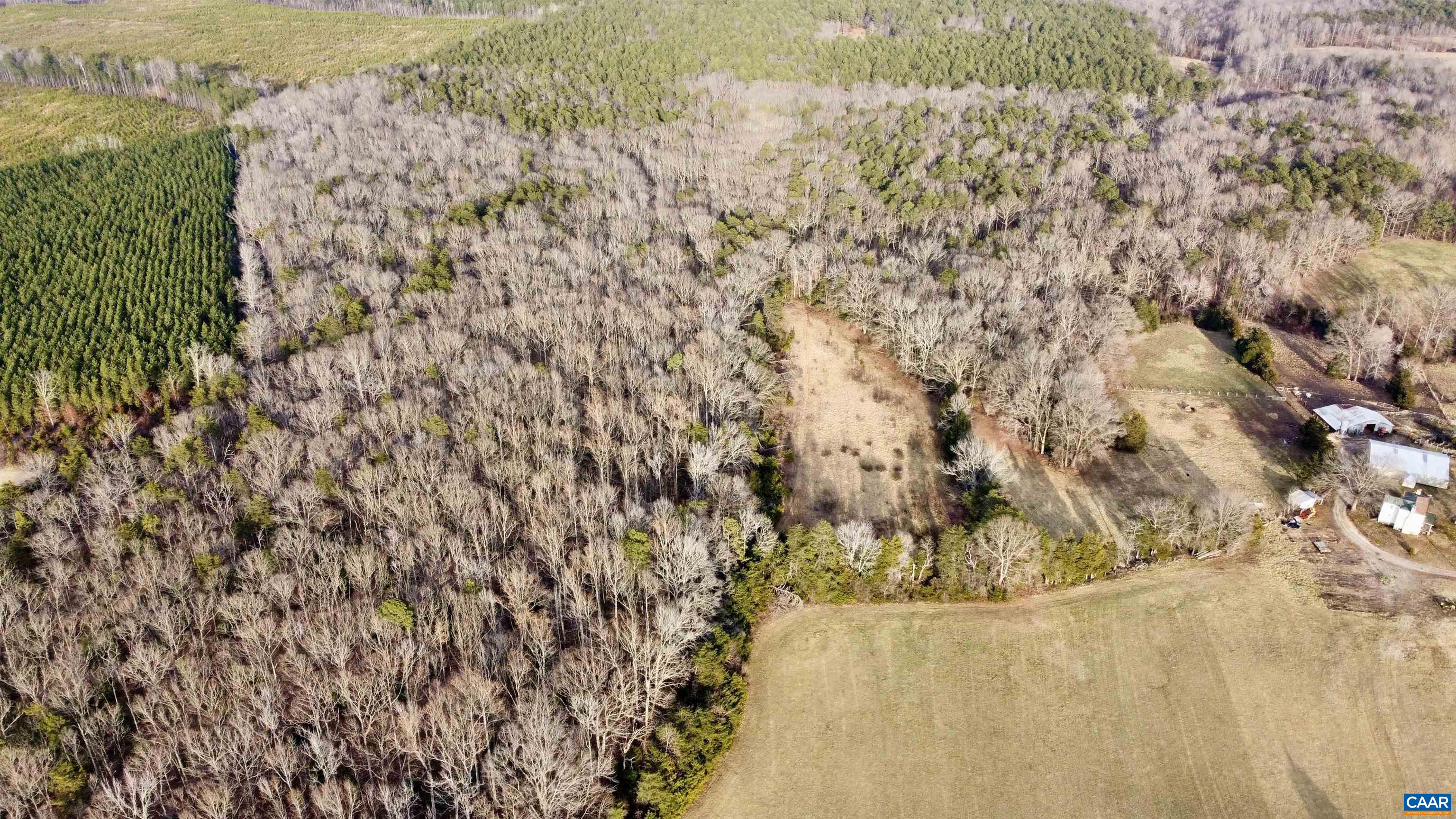 20602 Beaver Dam Road Beaverdam, VA 23015 - Photo 12 of 24 a close up of a marble wall