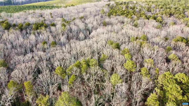 a view of a yard with trees