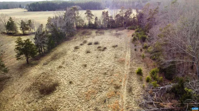 a view of a garden with a pathway