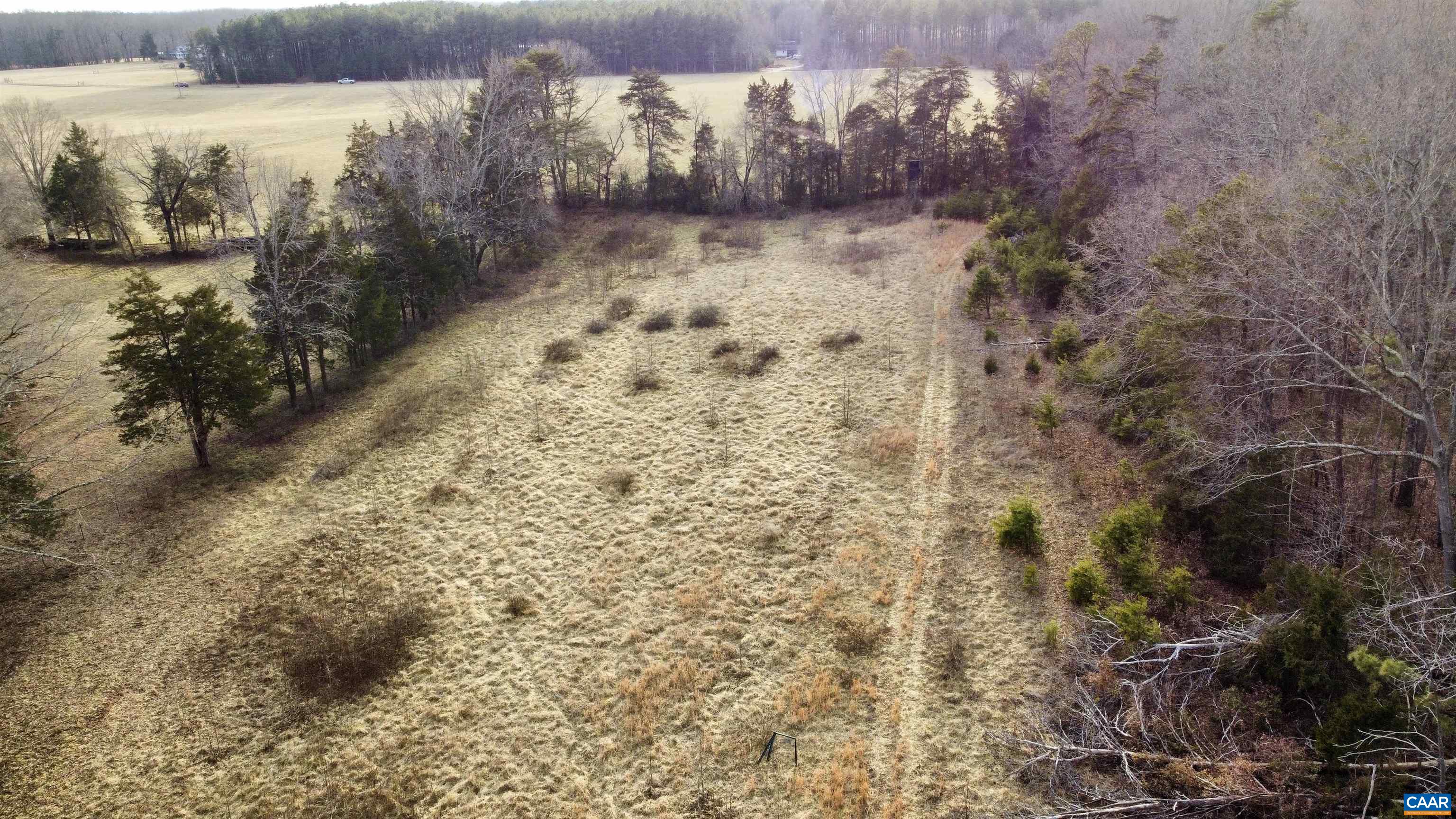 20602 Beaver Dam Road Beaverdam, VA 23015 - Photo 16 of 24 a view of a yard with trees