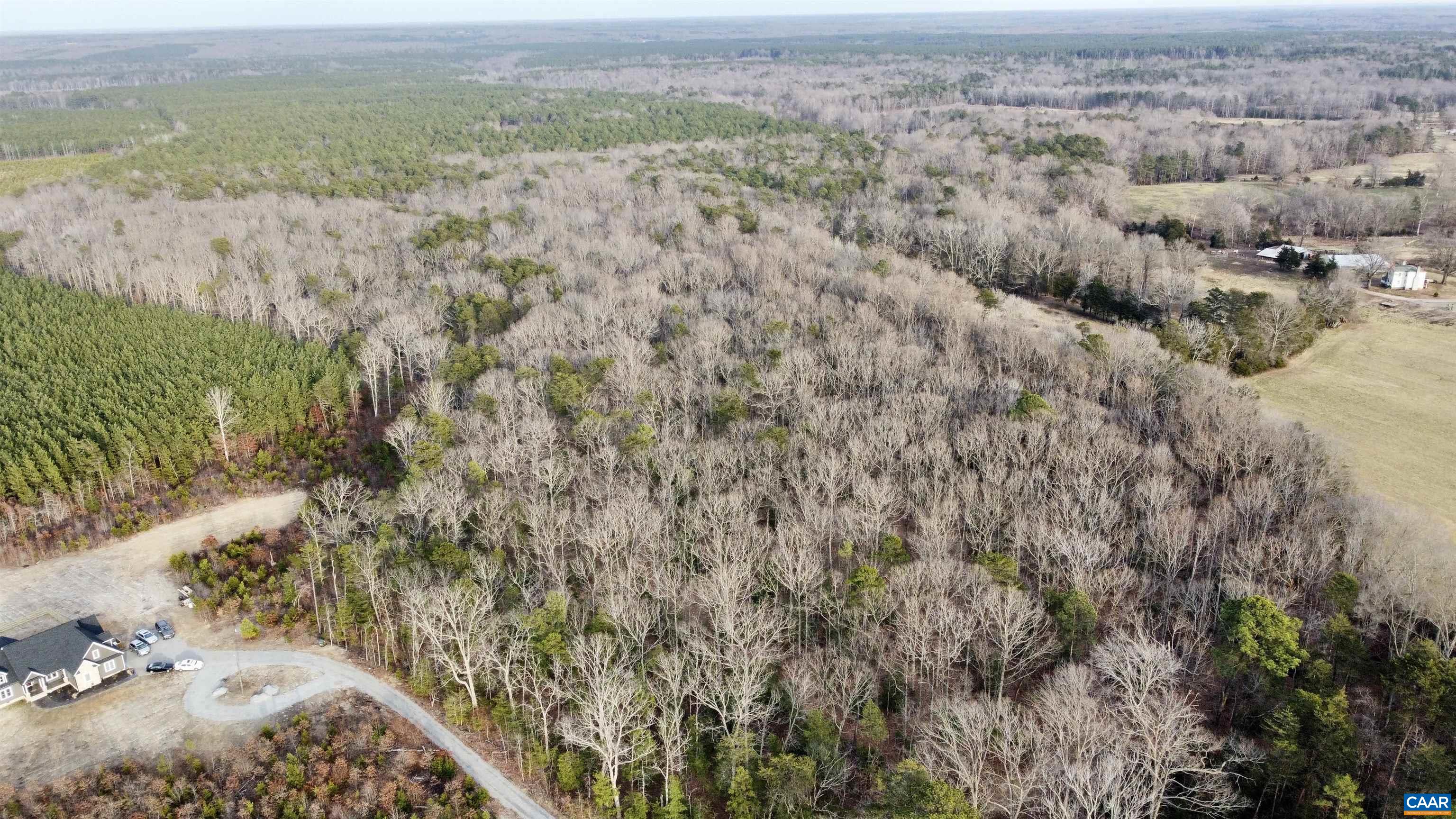 20602 Beaver Dam Road Beaverdam, VA 23015 - Photo 19 of 24 a view of a dry yard with wooden floor and mountain view