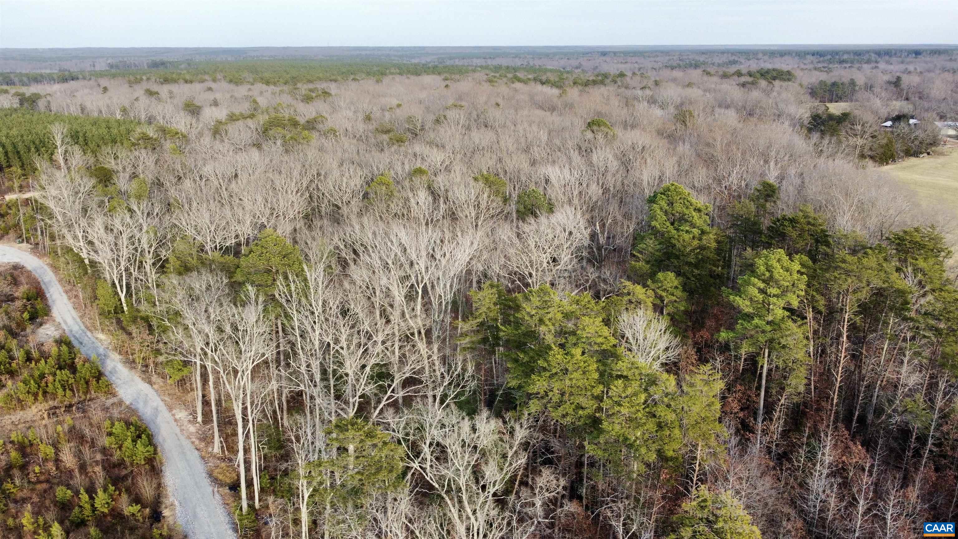 20602 Beaver Dam Road Beaverdam, VA 23015 - Photo 20 of 24 a view of mountain with trees in background
