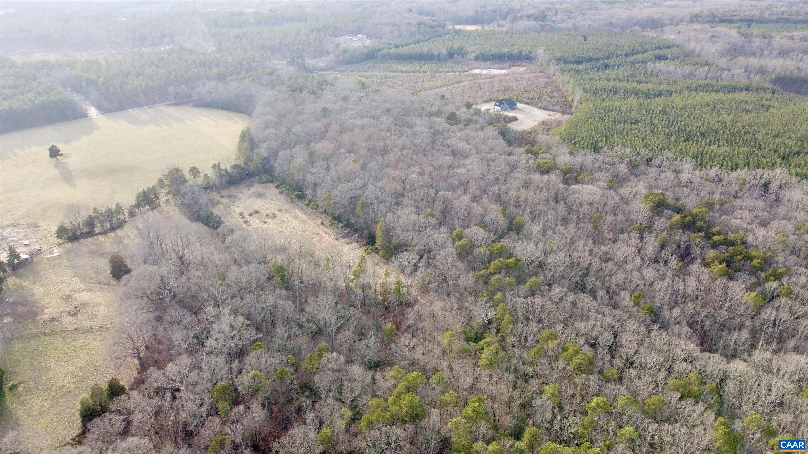 20602 Beaver Dam Road Beaverdam, VA 23015 - Photo 3 of 24