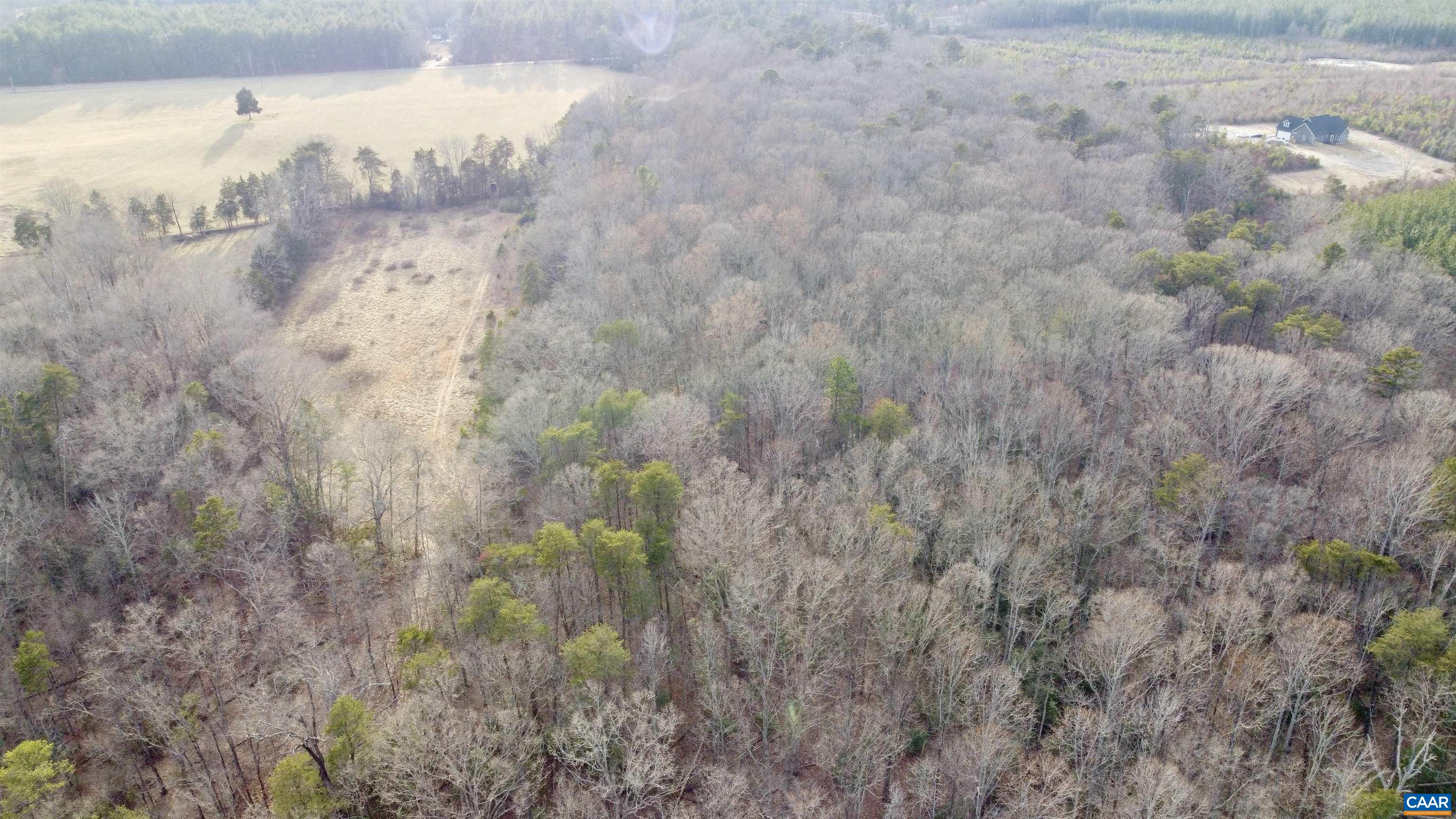 20602 Beaver Dam Road Beaverdam, VA 23015 - Photo 4 of 24 a view of a dry yard