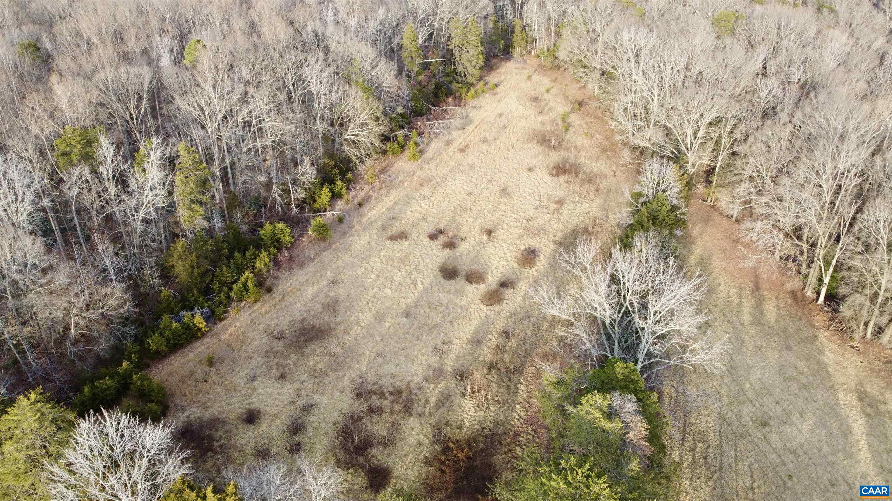 20602 Beaver Dam Road Beaverdam, VA 23015 - Photo 5 of 24 a view of a yard with plants and trees
