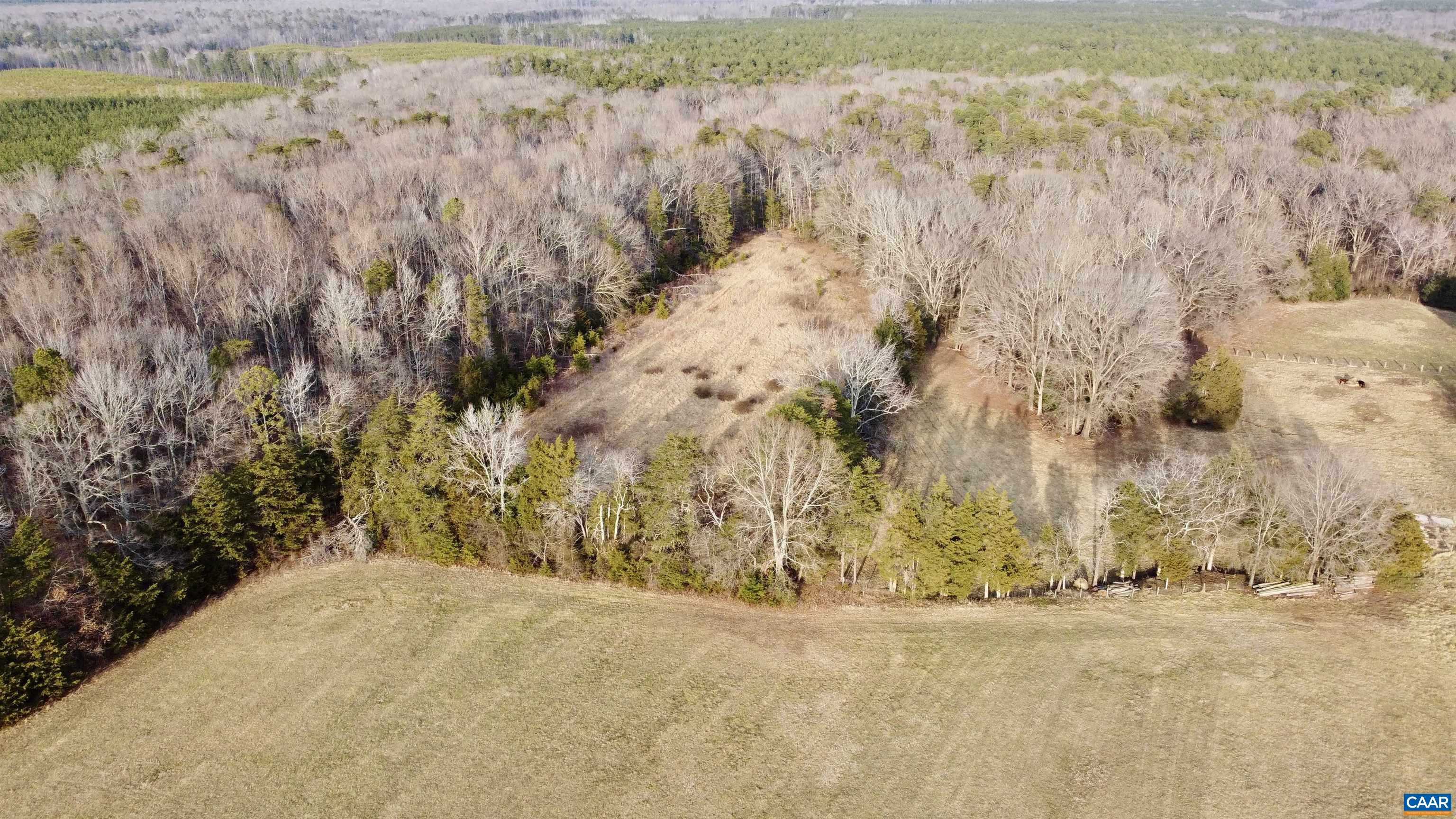 20602 Beaver Dam Road Beaverdam, VA 23015 - Photo 6 of 24 a view of a yard and mountain view
