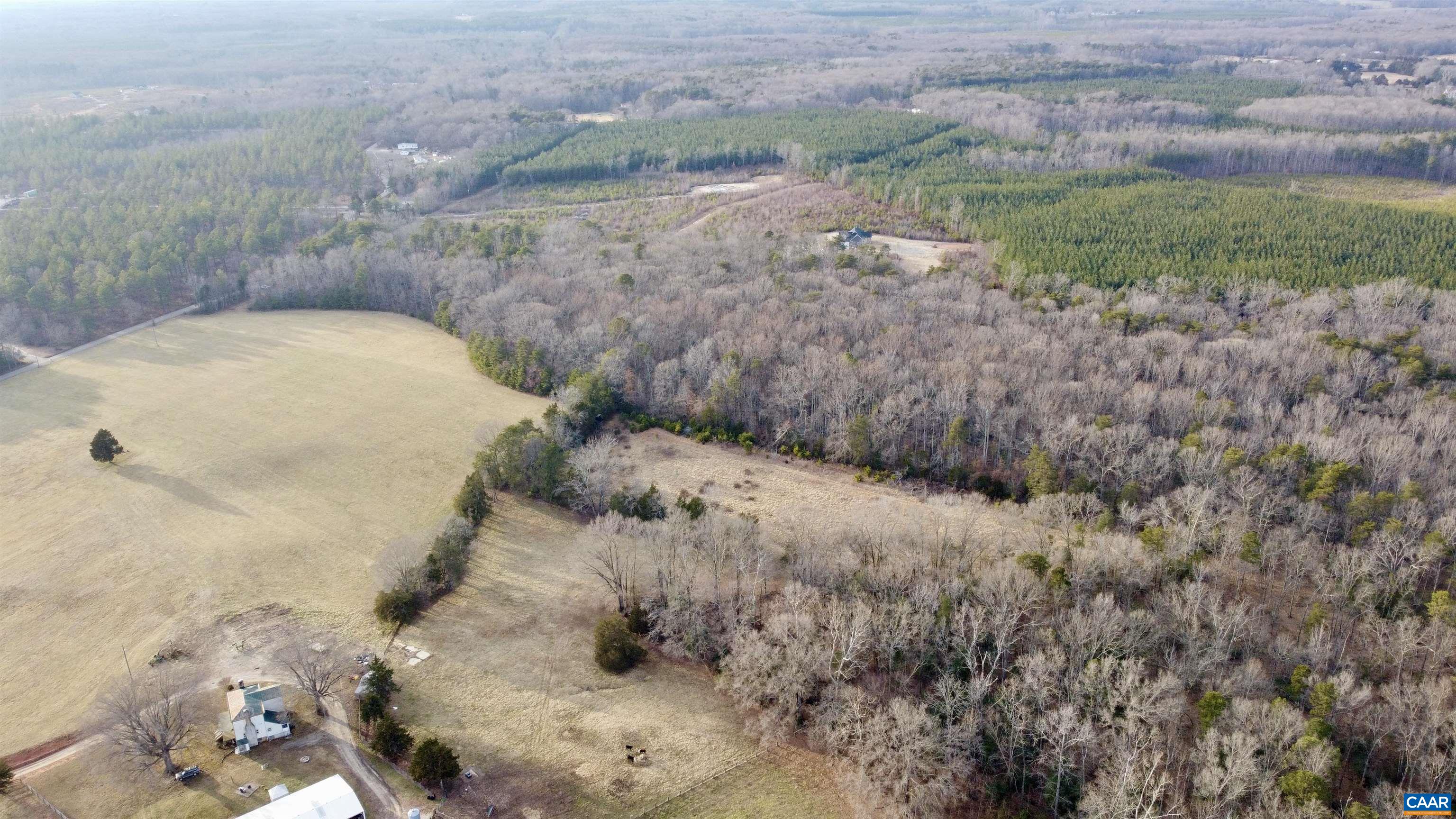 20602 Beaver Dam Road Beaverdam, VA 23015 - Photo 9 of 24 a view of a dry yard with trees